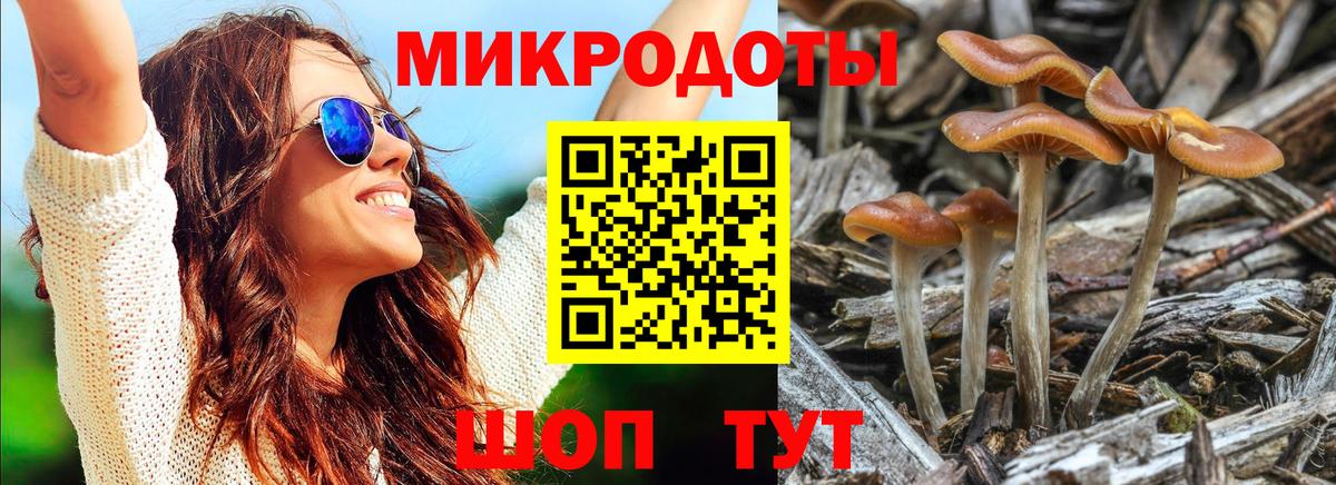 Белогорск  Псилоцибиновые грибы ЛСД  Псилоцибиновые грибы Cubensis  Вход с VPN 
